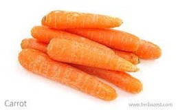 [P14] Carrot