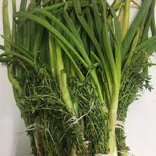 [P32] Escallion & Thyme
