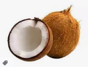 [P44] Coconut Large